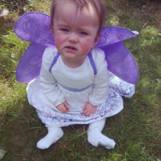 Our butterfly.