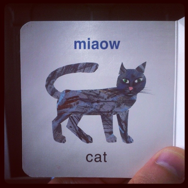 A gentle reminder to all my friends that cats do indeed on occasion say miaow.